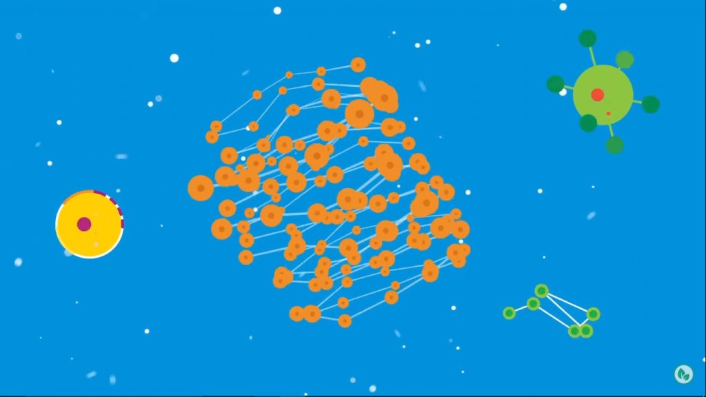 El Microbioma y la microbiota El Microbioma y la microbiota