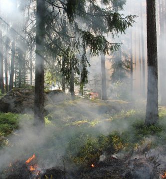 que es un incendio forestal