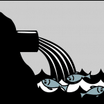 Peces muertos en el mar menor