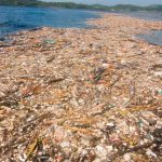 mar caribe -isla de plastico del pacífico