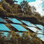 paneles solares sobre arboles