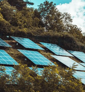 paneles solares sobre arboles
